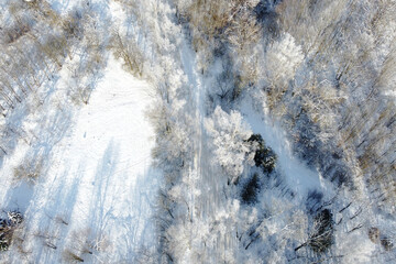 Winter landscape with birch trees covered hoarfrost, aerial view