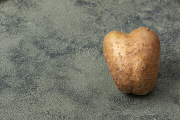 Fototapeta na wymiar one big abnormal potato on dark green background.Funny shaped potatoes 