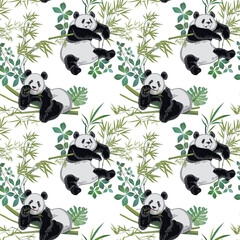 Fototapety  Seamless pattern with resting panda bears on white backround