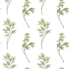 Seamless pattern with bamboo branches on white backround