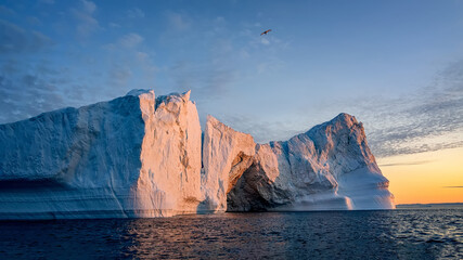 floating glaciers at fjord Disco Bay West Greenland at polar night with bird © Jaro