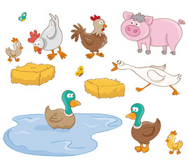 Farm animals set draw. Pig, chicken, duck. Flat vector illustration isolated on white background