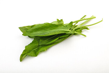 Aroma Fresh green sorrel heap