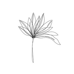 Branch with Leaves Single Line Drawing. Continuous Line Drawing of Simple Flower Minimalist Style. Abstract Contemporary Design Template for Covers, t-Shirt Print, Postcard, Banner etc. Vector EPS 10.