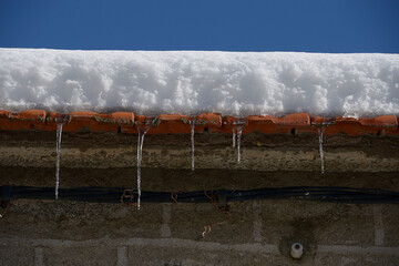 Peque&ntilde;os car&aacute;mbanos