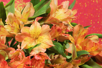 Fototapeta premium Floral background. Selective focus. Alstroemeria bouquet on a red background with bokeh. Greeting card.