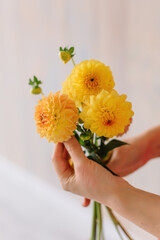 Woman holding yellow dahlia in her hands