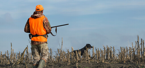 A hunter with a gun in his hands in hunting clothes in the autumn forest in search of a trophy. A man stands with weapons and hunting dogs tracking down the game.