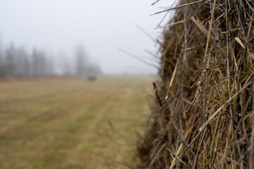 Fototapeta na wymiar hay bale in the field