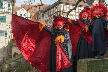 Hallia Venezia - Carneval in Schwäbisch Hall