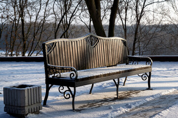 Winter, snowy morning in the Gomel park, Belarus.