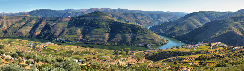 Amazing views of Douro vineyards from Casal de Loivos viewpoint, Portugal - obrazy, fototapety, plakaty