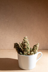 Details of medical marihuana buds inside a coffee cup. Selective focus on brown background.