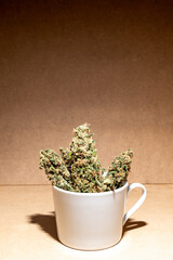 Medical marihuana buds inside a coffee cup. Selective focus.