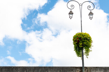 Impressive street lamp with a bush hanging in the middle of it. It is on the right side of the image. White and blue background of the clouds and sky.