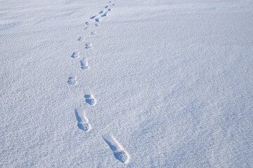 Human footprints in deep snow on sunny day.