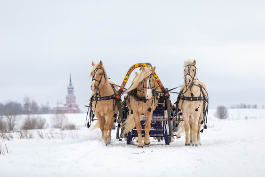Russian traditional fun - galloping on three horses in winter in a sleigh. Three horses jump together at high speed.