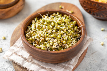 Sprouted mung bean in a wooden bowl on a gray concrete table close-up.