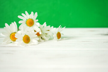 Daisies on wooden green background, greeting card with copy space