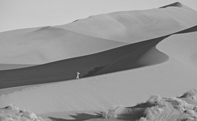 Namib Desert Sand dune walking excursion