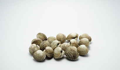 Thai cockles on a white background.