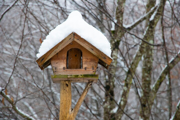 Naklejka premium Snow-covered wooden bird feeder in the woods. Winter time. Bird food.
