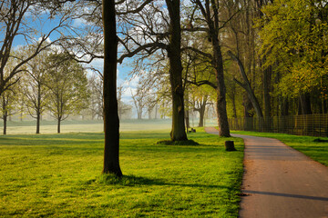 Central City Park on a summer morning