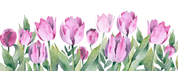 Horizontal seamless background with colored tulips.  illustration. - obrazy, fototapety, plakaty
