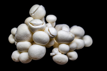 White button gormet mushrooms in a pile isolated on black - Selective focus