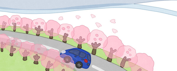 春に桜並木をドライブ　パノラマ風景
