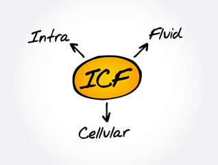 ICF - intracellular fluid acronym, medical concept background 