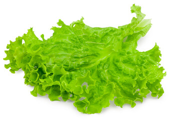 one salad leaf isolated on a white background. full depth of field. clipping path