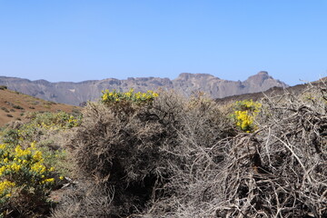 Volcanic mountains Mount Teide Tenerife 