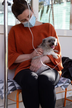 Woman With Face Mask Having Worried Look While Her Little Dog Receiving Infusion In Vet Clinic. Female Owner Holding Sick Pet In Her Lap At Veterinarian