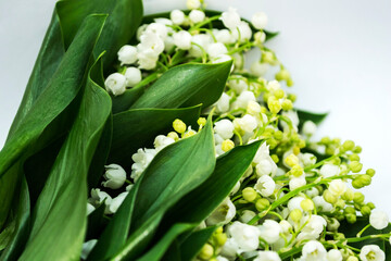 Lily of the valley is a species of herbaceous, perennial plant. It is also called May bells, Our Lady's tears, and Mary's tears.