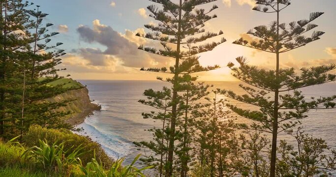 Time lapse of sunset behind Norfolk Island Pine trees and coastal cliffs and shoreline, Norfolk Island, australia