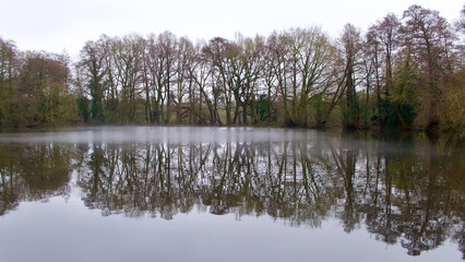 Winter scene showing trees reflected in still water of English lake 