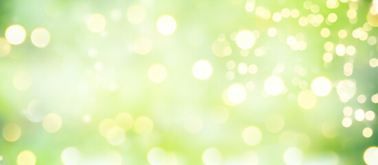 green bokeh background - Christmas, Spring banner, panorama