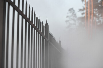 foggy forest behind a black wrought-iron fence