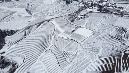 meleti vigne dall'alto inverno neve 