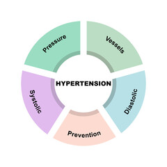 Diagram concept with Hypertension text and keywords. EPS 10 isolated on white background