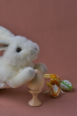 Little white rabbit in the surround with different color of ester eggs.