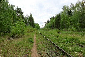 beautiful view of old abandoned railway surrounded by green spring forest in russian outback