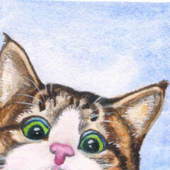 funny cat's face, watercolor drawing on a blue background