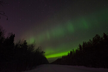 Northern lights over the forest. Polar light 