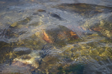 stones underwater