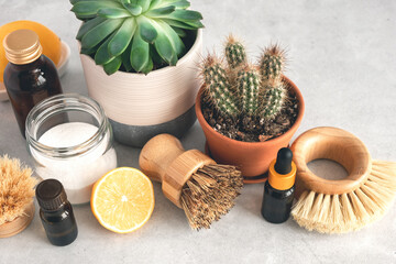 Wooden bamboo brushes, baking soda, lemon, essential oils, vinegar. Zero waste eco friendly cleaning concept - Image