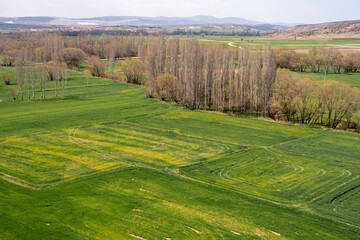 Obraz premium Agricultural field view