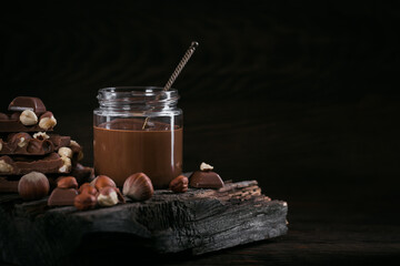 Homemade Chocolate Hazelnut Milk Spread on a dark Background
