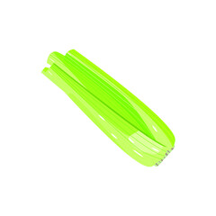 Simple fresh celery without leaves isolated on white. Natural vegetable for celery stalk for juicing, healthy vegetarian food, cultivated plant, organic product vector flat illustration.